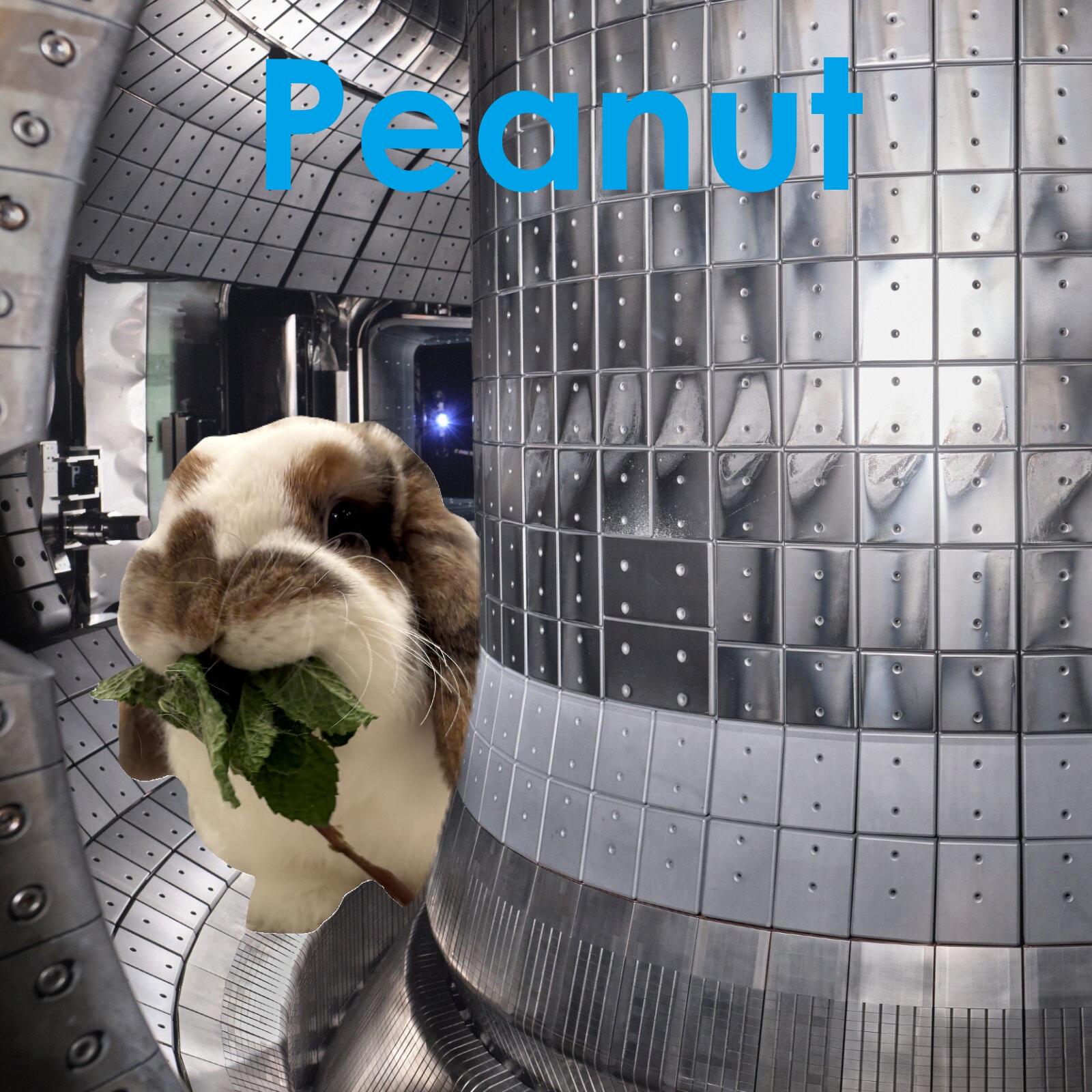 PeanutReactorPic